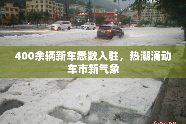 400余辆新车悉数入驻，热潮涌动车市新气象