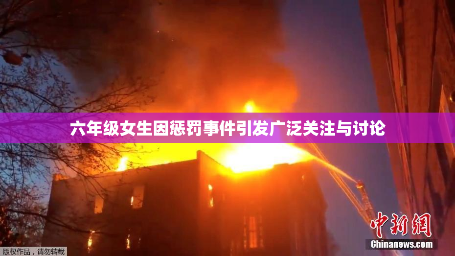 六年级女生因惩罚事件引发广泛关注与讨论