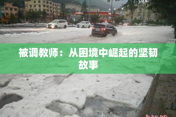 被调教师：从困境中崛起的坚韧故事