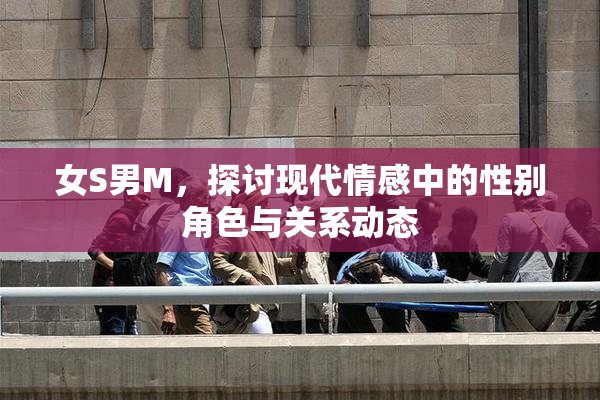 女S男M，探讨现代情感中的性别角色与关系动态