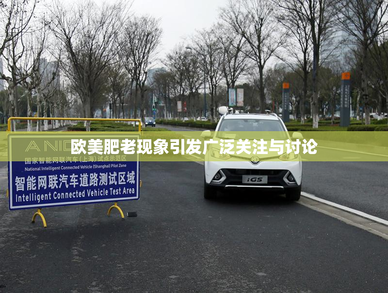 欧美肥老现象引发广泛关注与讨论