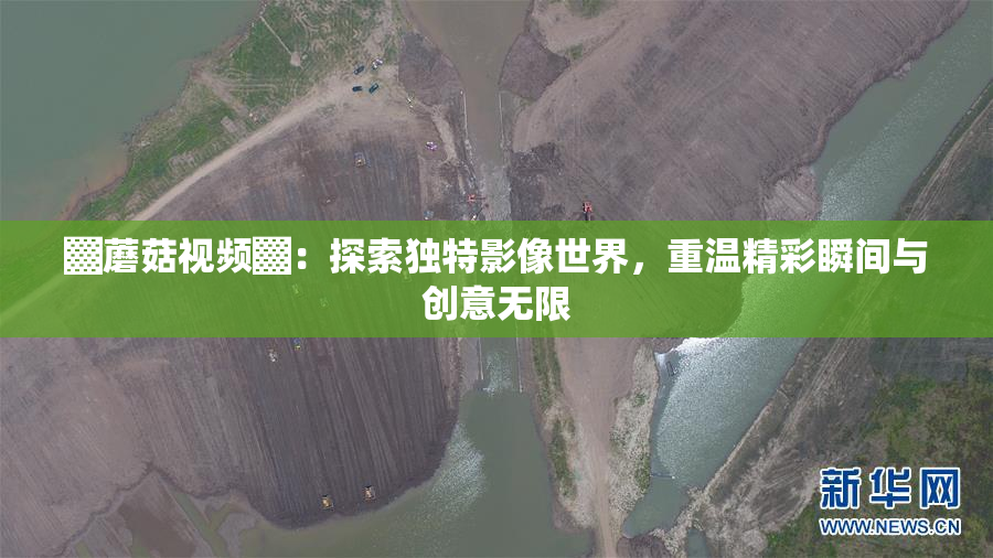 ▓蘑菇视频▓：探索独特影像世界，重温精彩瞬间与创意无限
