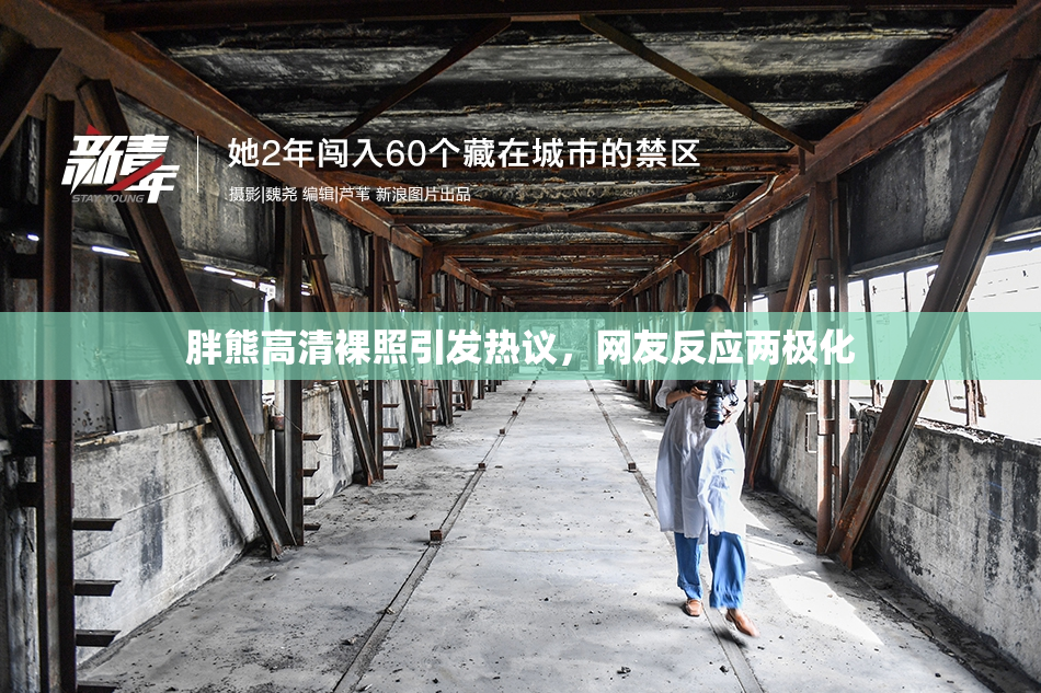 胖熊高清裸照引发热议，网友反应两极化