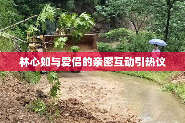 林心如与爱侣的亲密互动引热议
