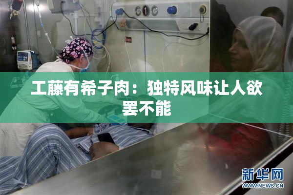 工藤有希子肉：独特风味让人欲罢不能