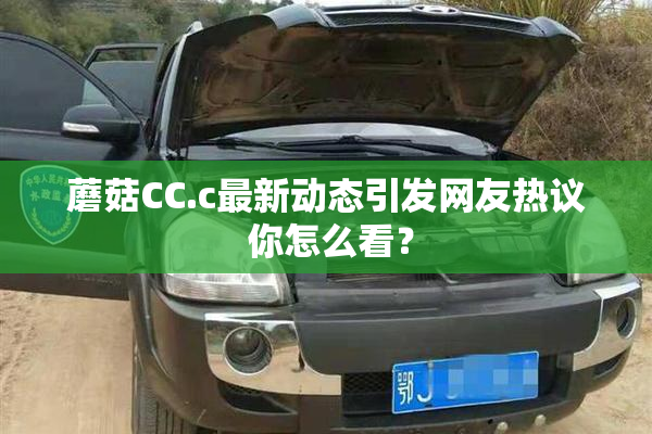蘑菇CC.c最新动态引发网友热议 你怎么看？