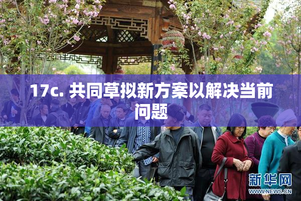 17c. 共同草拟新方案以解决当前问题