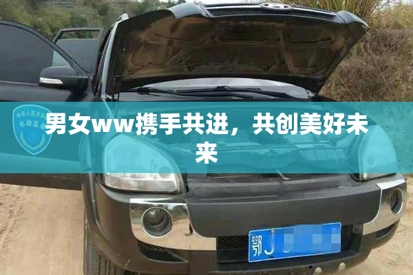 男女ww携手共进，共创美好未来