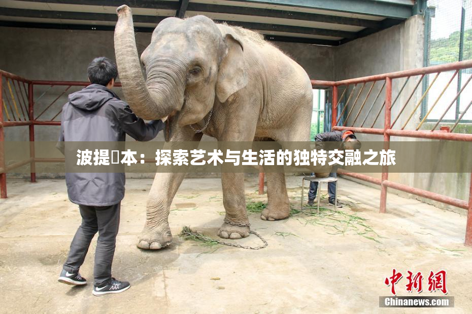 波提歐本：探索艺术与生活的独特交融之旅