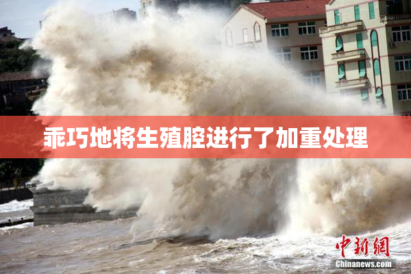 乖巧地将生殖腔进行了加重处理