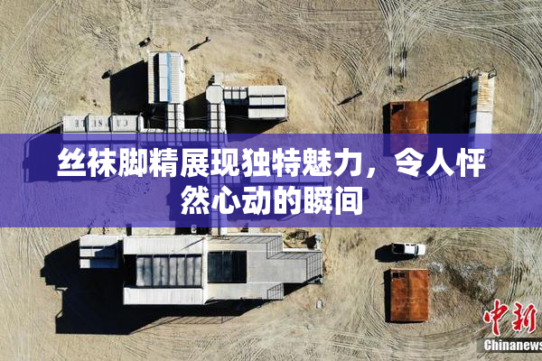 丝袜脚精展现独特魅力，令人怦然心动的瞬间