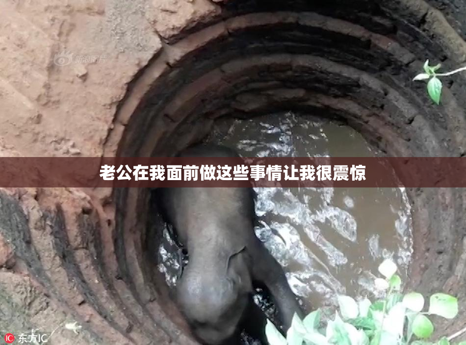老公在我面前做这些事情让我很震惊