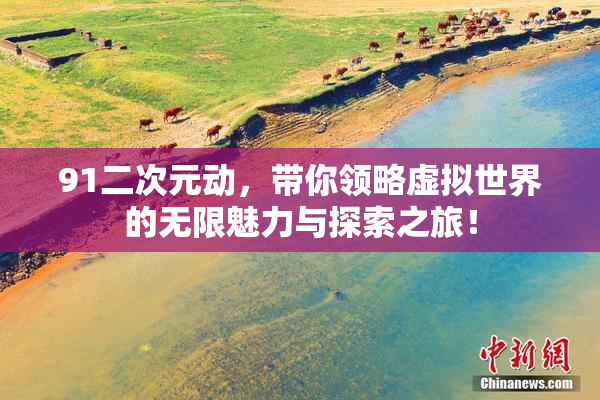 91二次元动，带你领略虚拟世界的无限魅力与探索之旅！