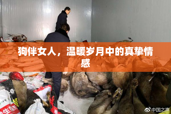 狗伴女人，温暖岁月中的真挚情感