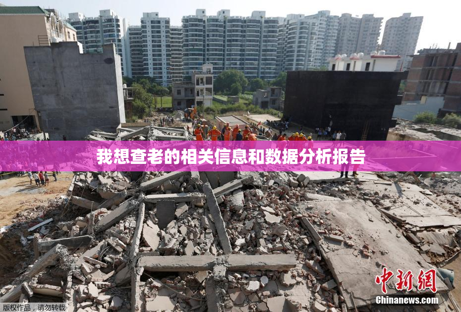 我想查老的相关信息和数据分析报告