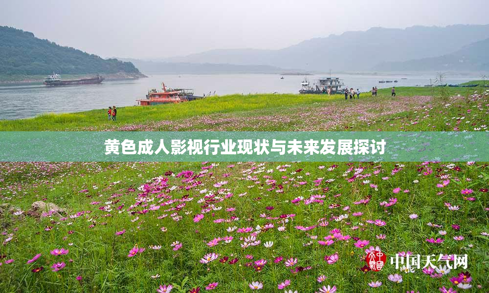 黄色成人影视行业现状与未来发展探讨