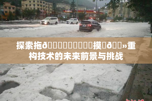 探索拖👙❌‌❌‌❌‌摸‌🐻重构技术的未来前景与挑战
