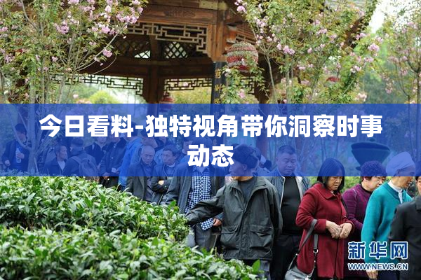 今日看料-独特视角带你洞察时事动态