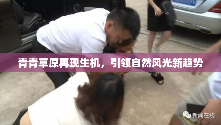 青青草原再现生机，引领自然风光新趋势