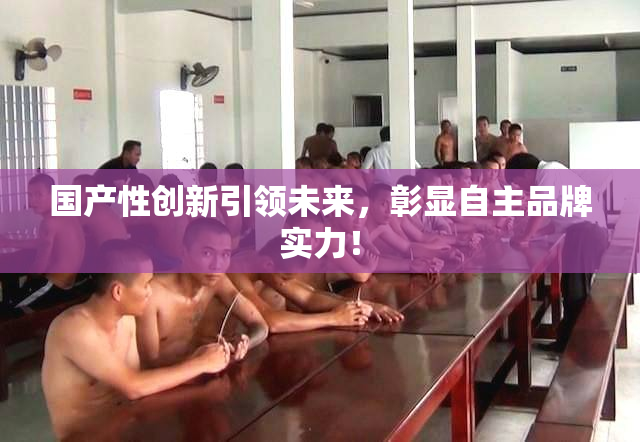 国产性创新引领未来，彰显自主品牌实力！