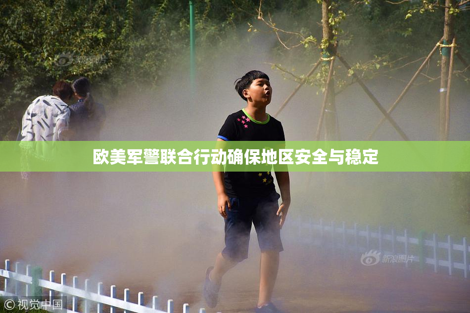 欧美军警联合行动确保地区安全与稳定