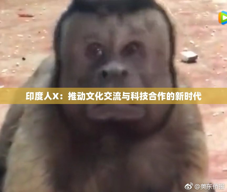 印度人X：推动文化交流与科技合作的新时代