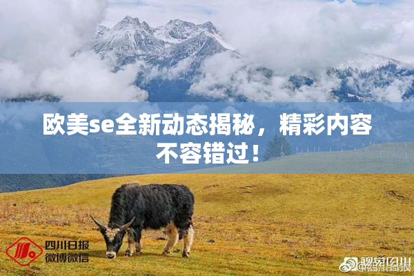 欧美se全新动态揭秘，精彩内容不容错过！