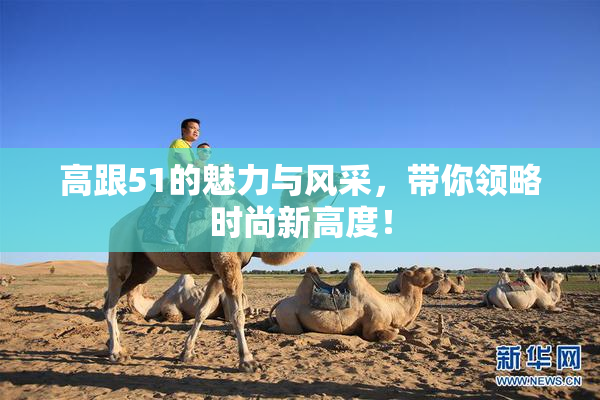 高跟51的魅力与风采，带你领略时尚新高度！