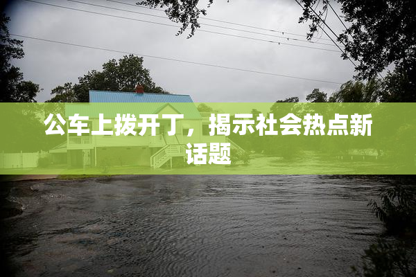 公车上拨开丁，揭示社会热点新话题