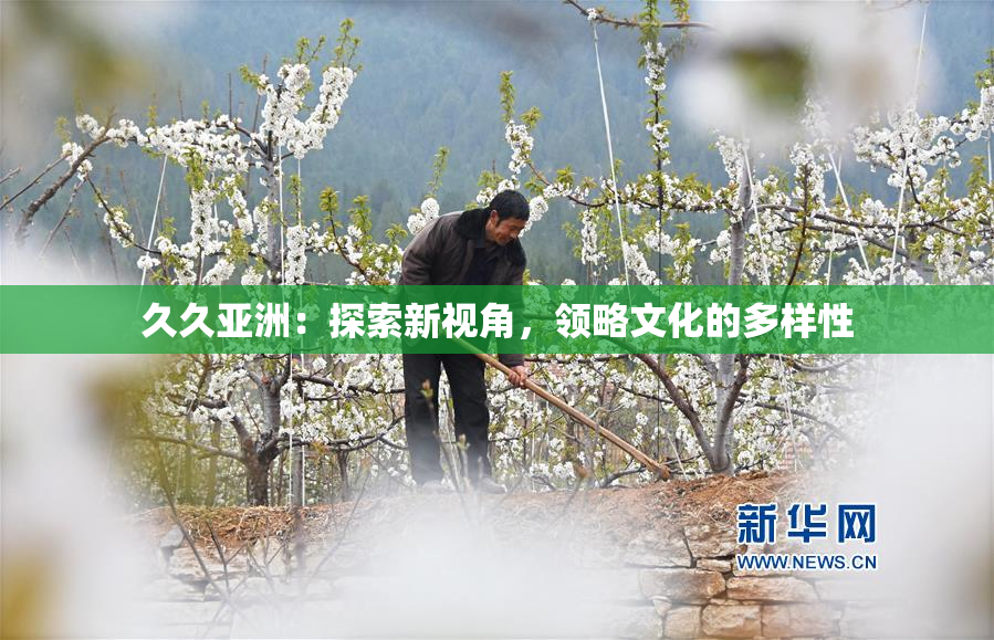久久亚洲：探索新视角，领略文化的多样性