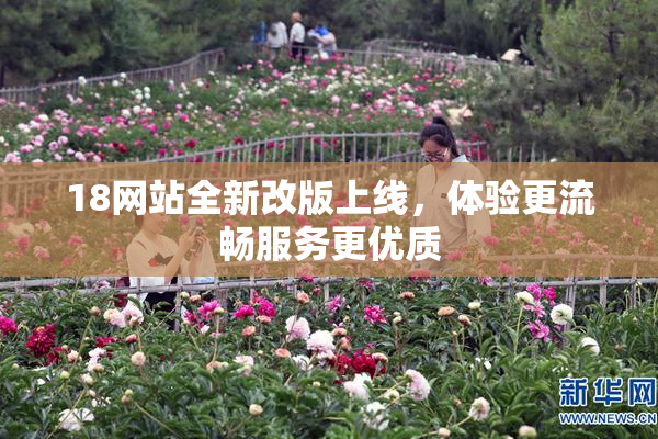 18网站全新改版上线，体验更流畅服务更优质