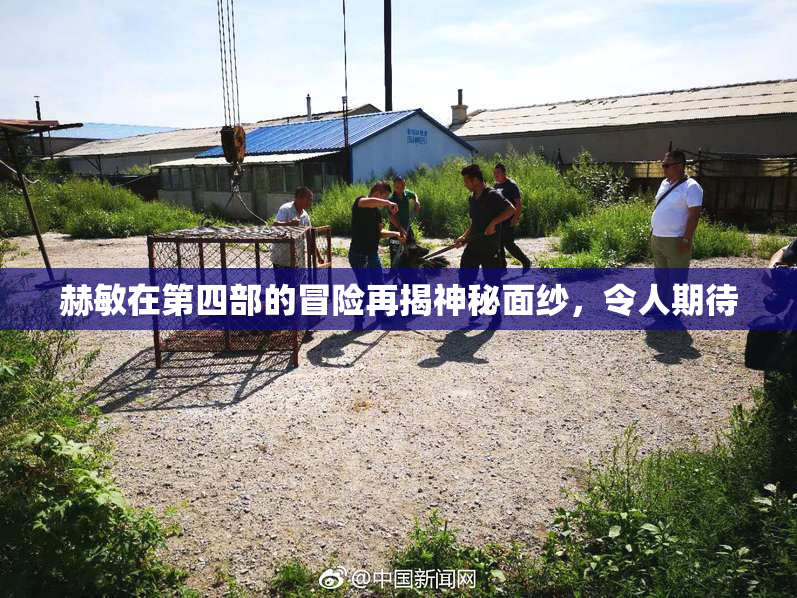 赫敏在第四部的冒险再揭神秘面纱，令人期待