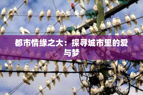 都市情缘之大：探寻城市里的爱与梦
