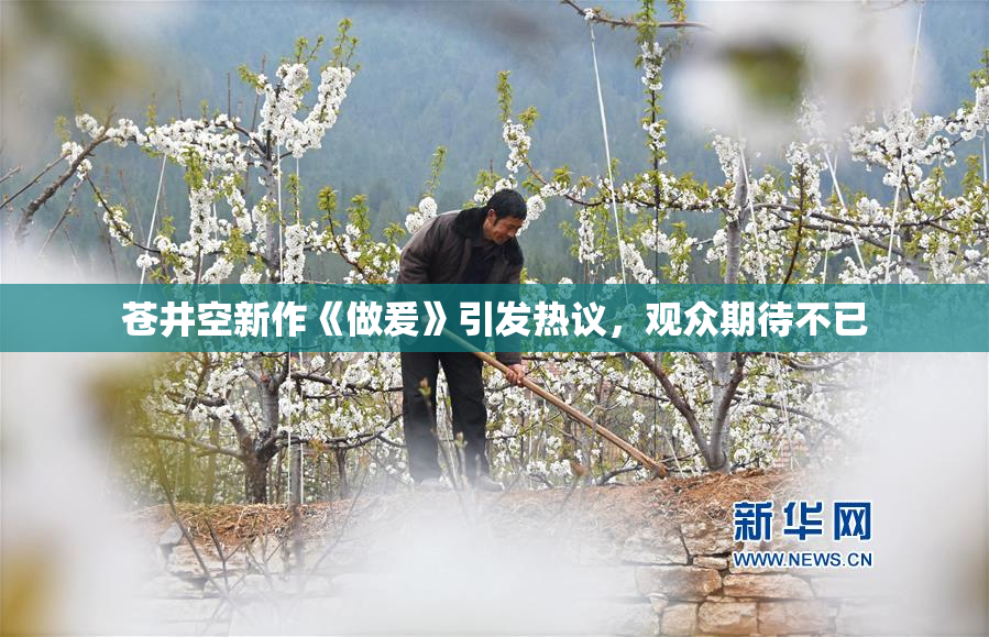 苍井空新作《做爰》引发热议，观众期待不已