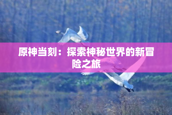 原神当刻：探索神秘世界的新冒险之旅