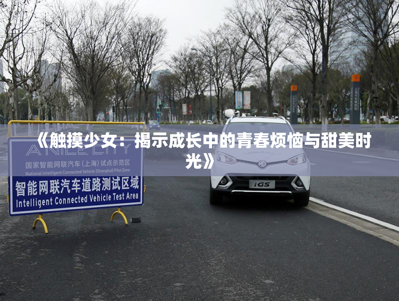 《触摸少女：揭示成长中的青春烦恼与甜美时光》