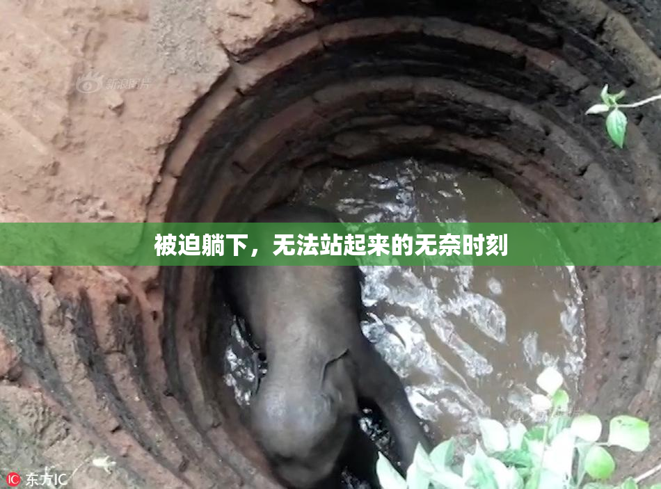 被迫躺下，无法站起来的无奈时刻