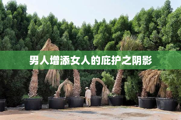 男人增添女人的庇护之阴影