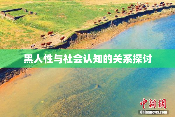 黑人性与社会认知的关系探讨
