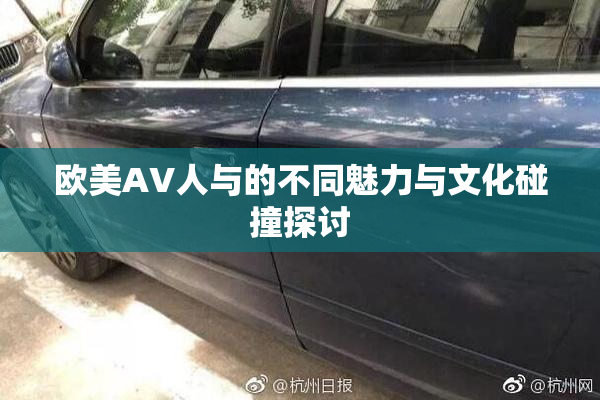 欧美AV人与的不同魅力与文化碰撞探讨