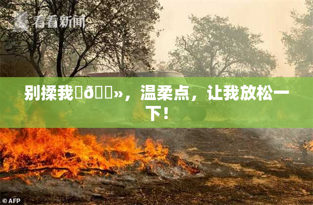 别揉我‌🐻，温柔点，让我放松一下！