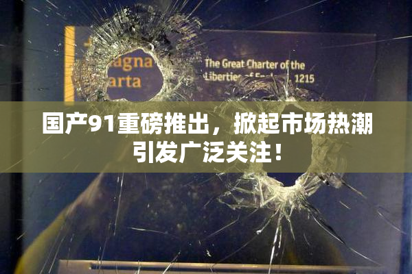 国产91重磅推出，掀起市场热潮引发广泛关注！