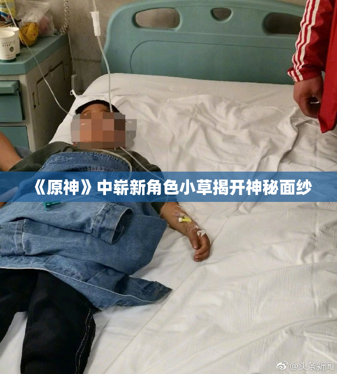 《原神》中崭新角色小草揭开神秘面纱