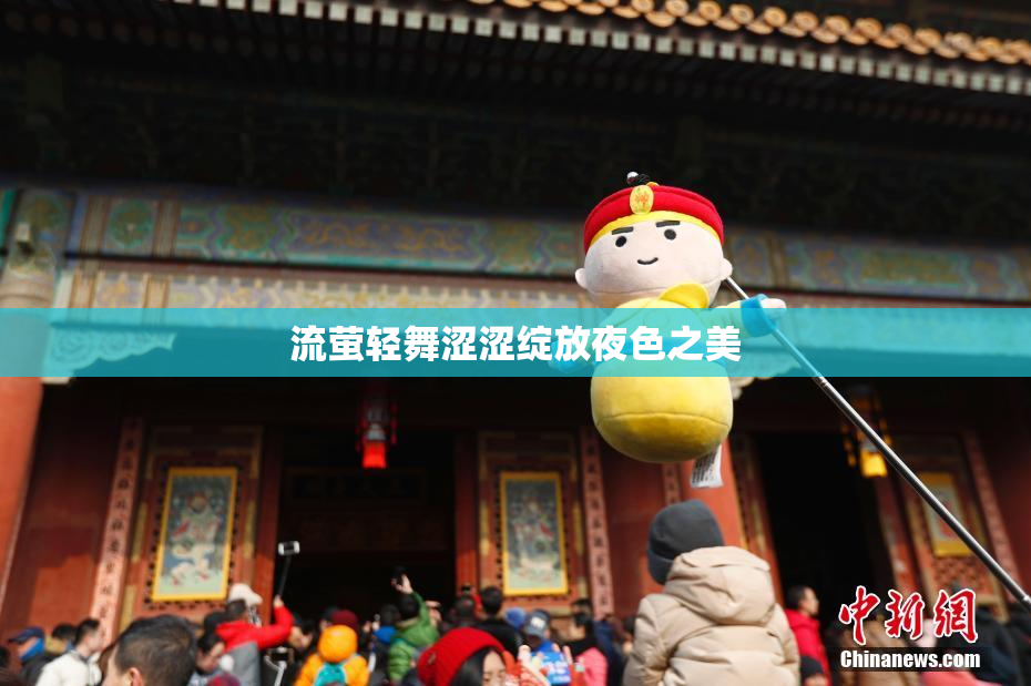 流萤轻舞涩涩绽放夜色之美