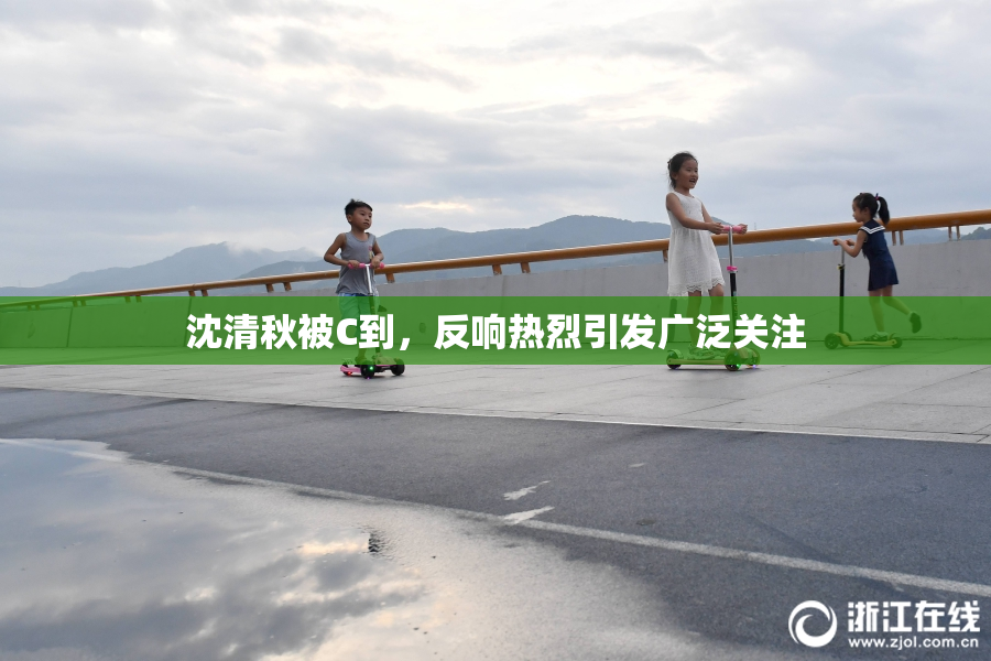 沈清秋被C到，反响热烈引发广泛关注