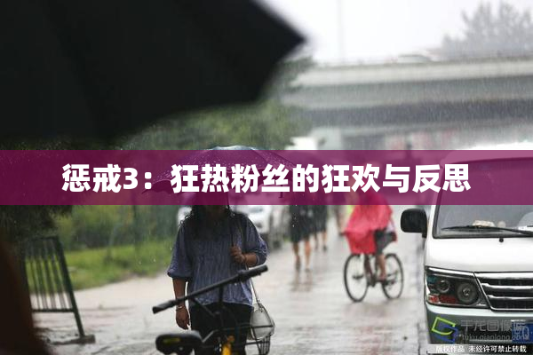 惩戒3：狂热粉丝的狂欢与反思