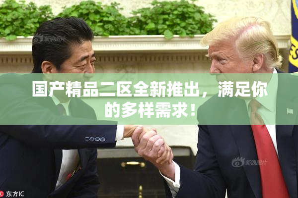 国产精品二区全新推出，满足你的多样需求！