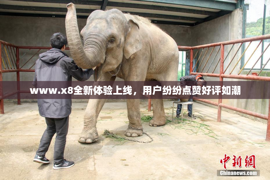 www.x8全新体验上线，用户纷纷点赞好评如潮