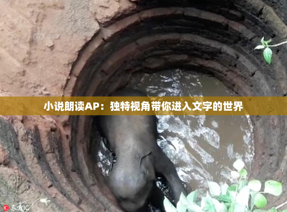 小说朗读AP：独特视角带你进入文字的世界