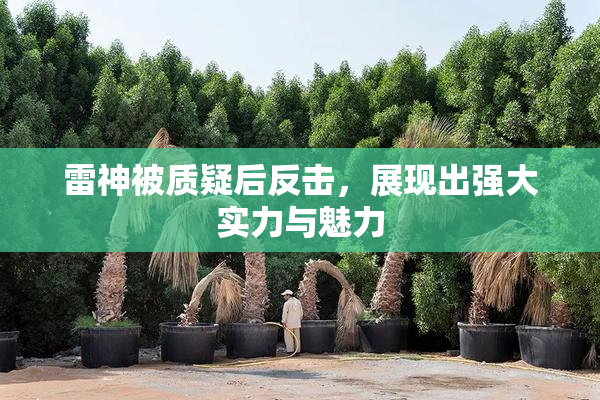 雷神被质疑后反击，展现出强大实力与魅力